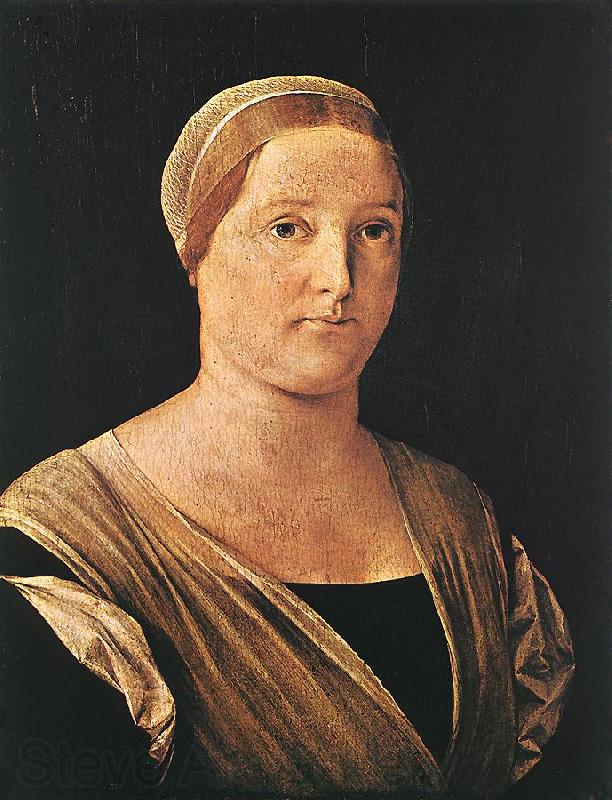 LOTTO, Lorenzo Portrait of a Woman sg